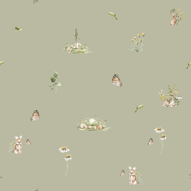 Image of